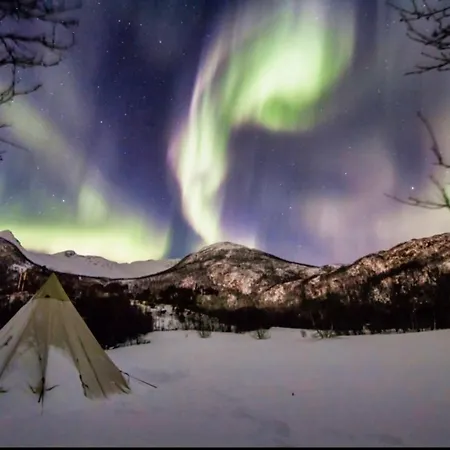 펜션 Adventure Senja