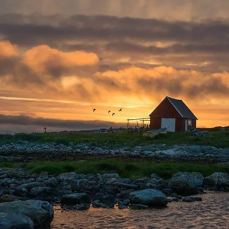 Adventure Senja 別荘 *