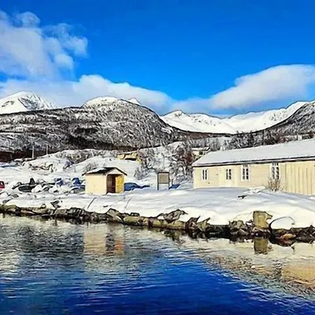 Adventure Senja 펜션