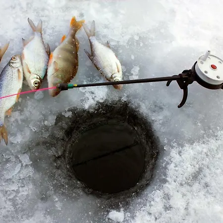 펜션 Adventure Senja *