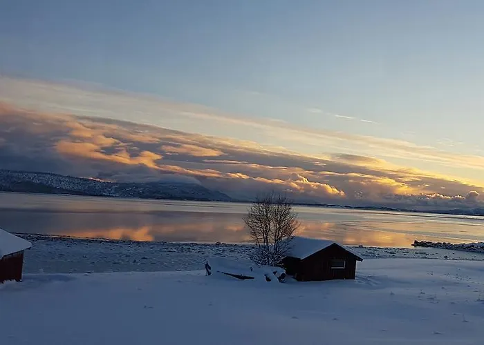 Semesterbostad Adventure Senja