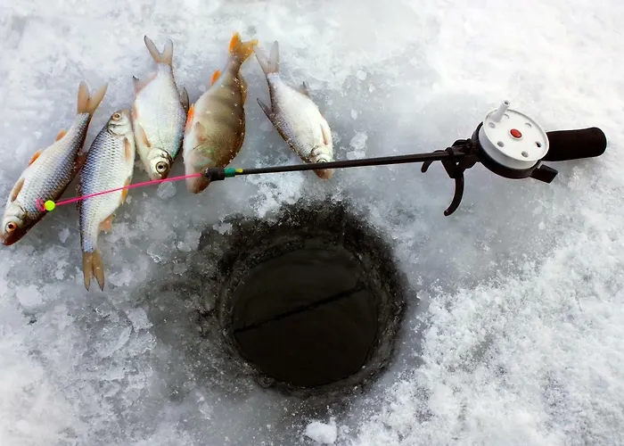 Nyaraló Adventure Senja *