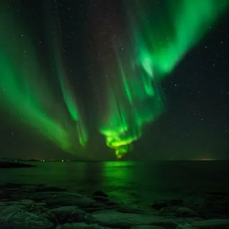 Vakantiehuis Adventure Senja